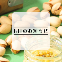 6月 休業日のお知らせ<br>6月26日(木)は臨時休業いたします。<br>その他は毎日営業します。<br>今月もどうぞよろしくお願いいたします。